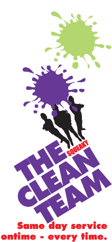 The Squeaky Clean Team Sandringham